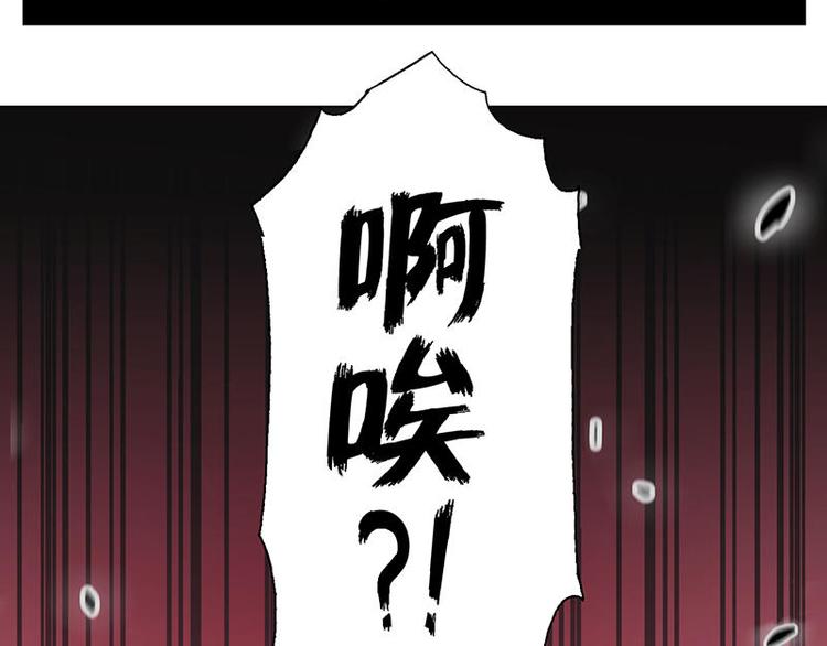 第33花67