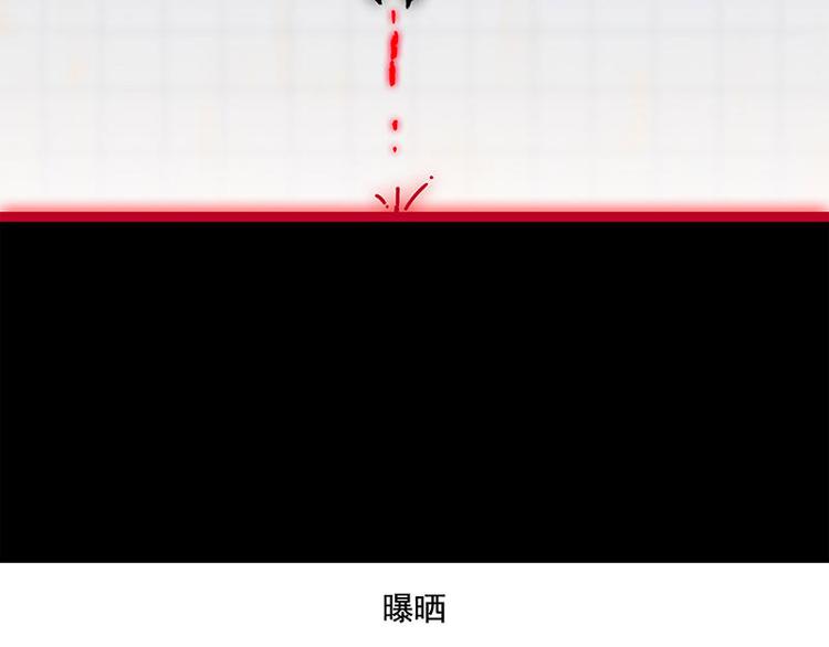 第39花12