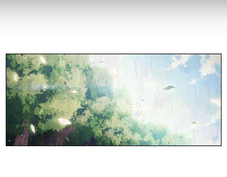 第45花29