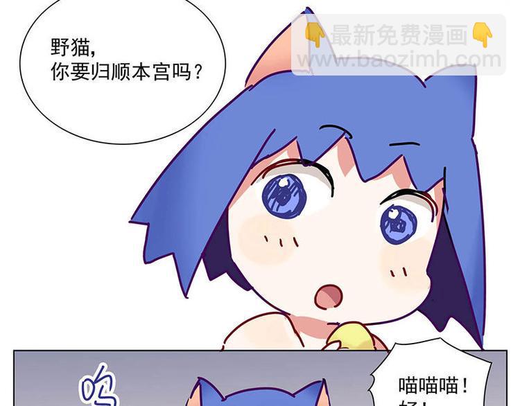 第4花9
