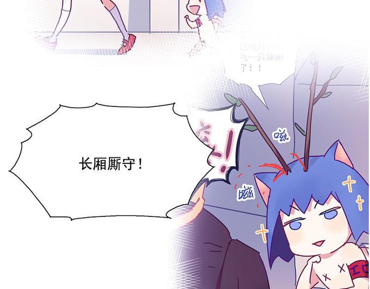 第54花 噢啦噢啦花9