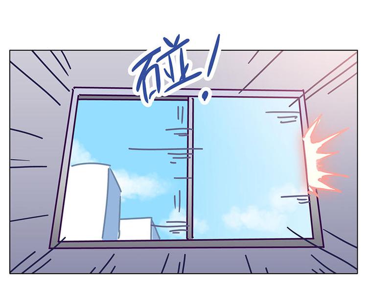 第24花26