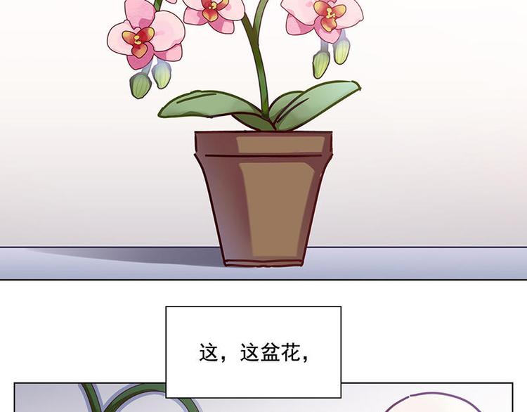 第34花2