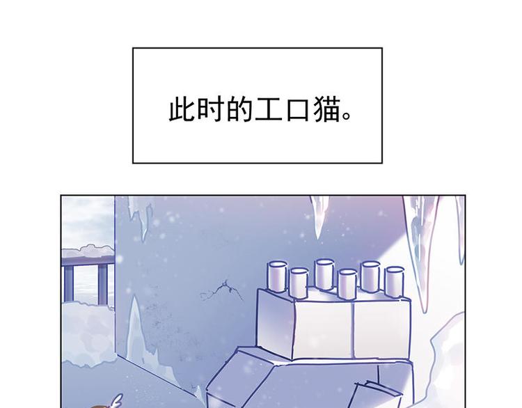 第27花67