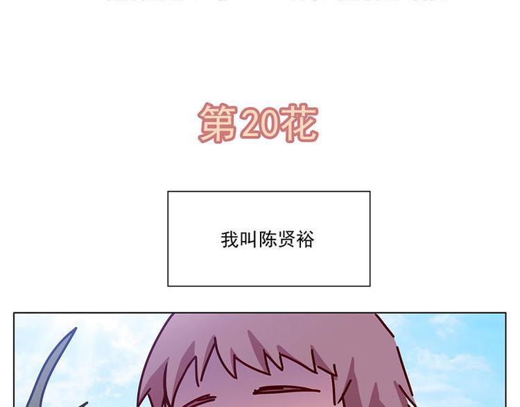 第20花1