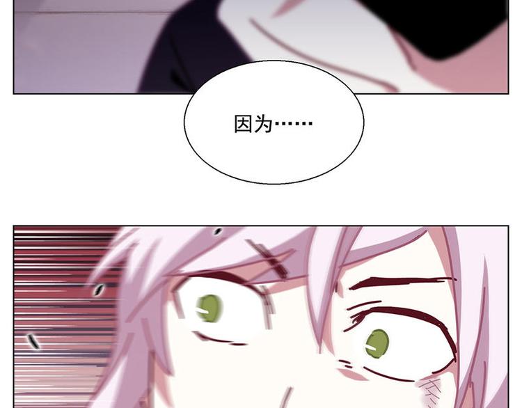 第41花38
