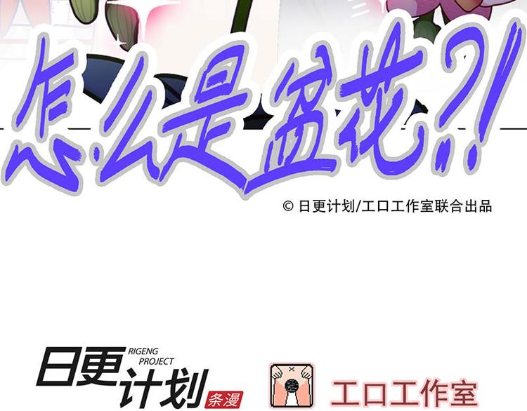 第33花70