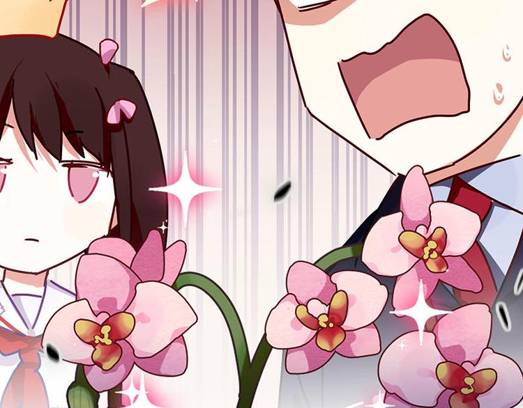 第33花69