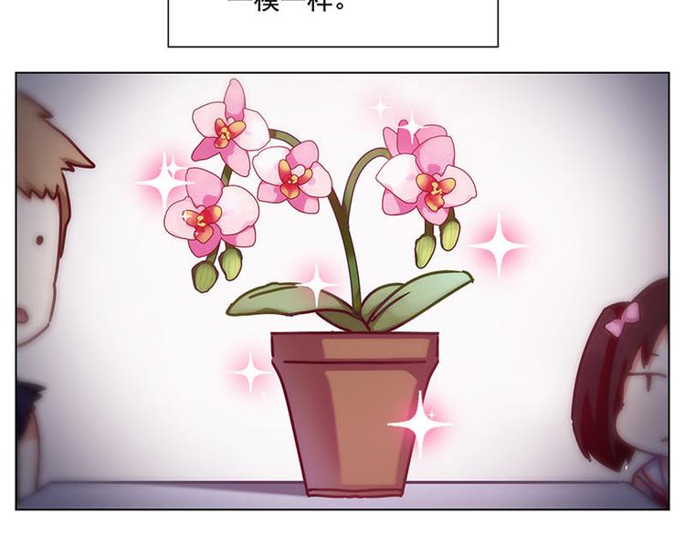 第34花13