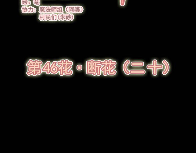 第46花1