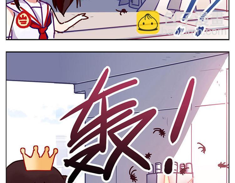 第5花14