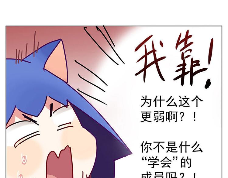 第9花17