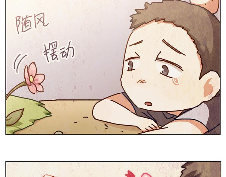 第34花6