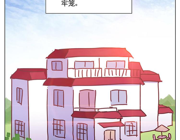 第11花5
