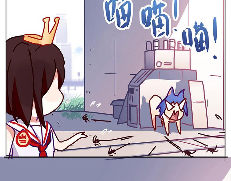 第5花16