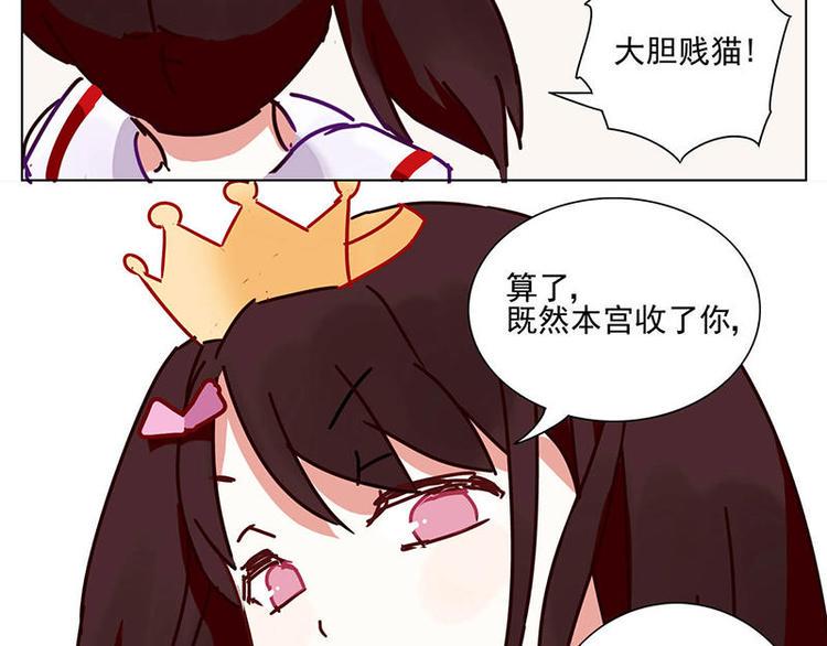 第4花11