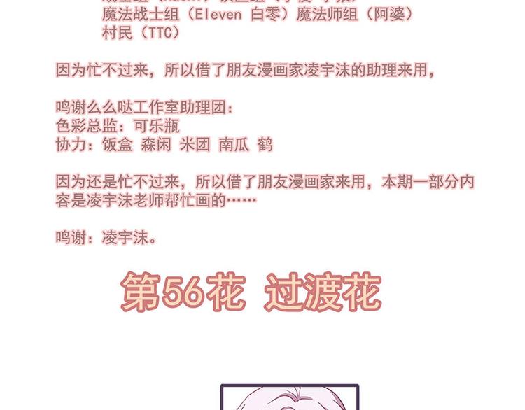 第56花 过渡花1