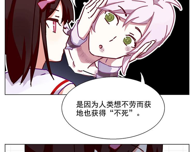 第41花28
