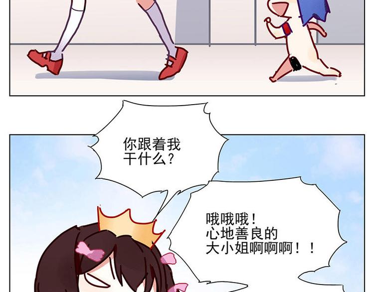 第5花6