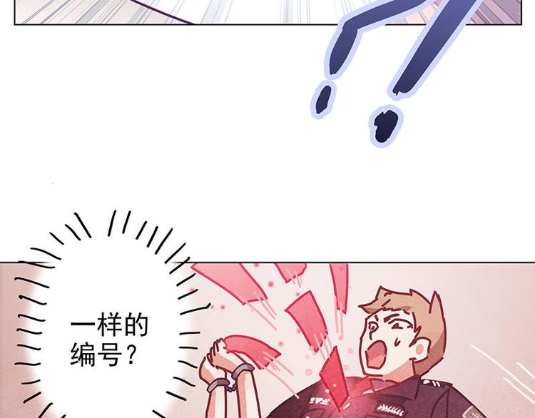 第27花20