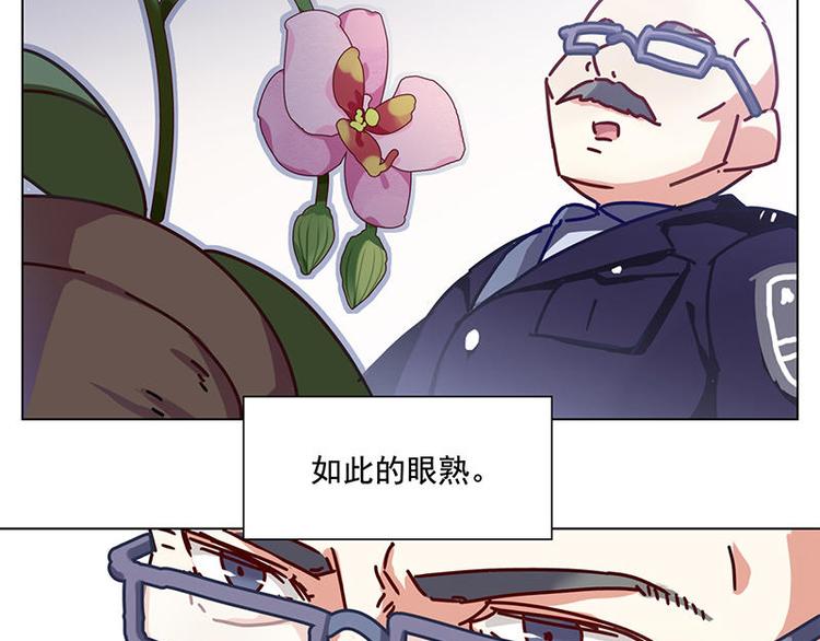 第34花3