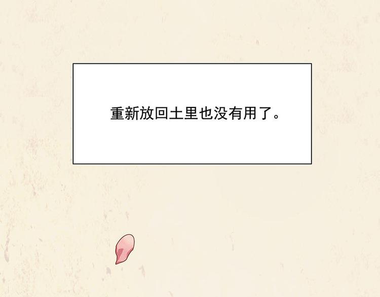 第34花23