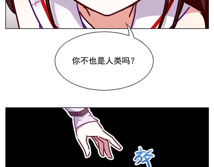第41花14