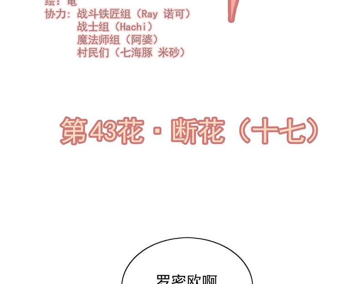 第43花1