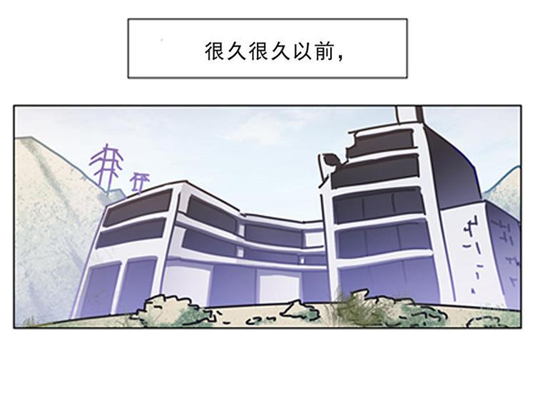 第56花 过渡花27