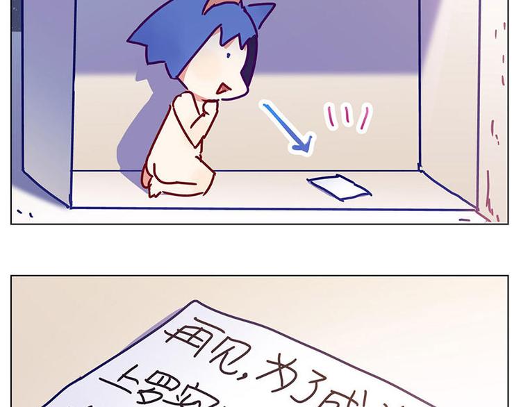 第17花14