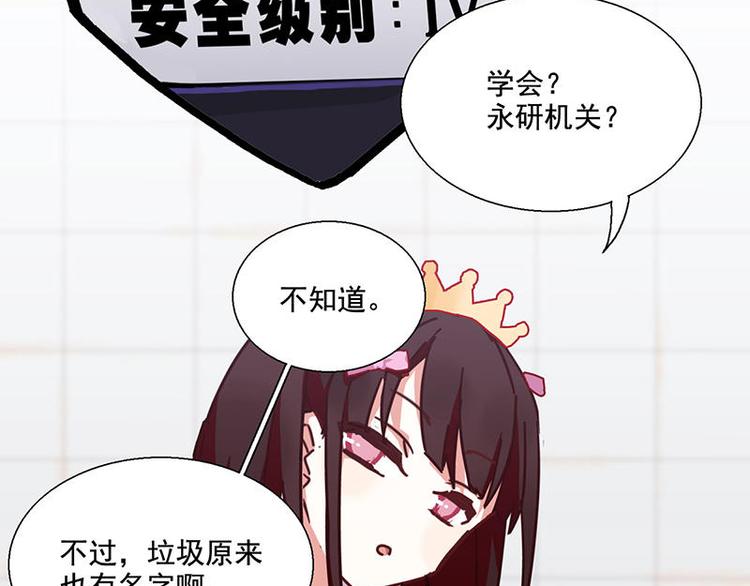 第41花24