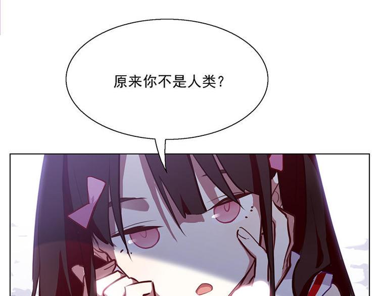 第52花 [哔]照花3