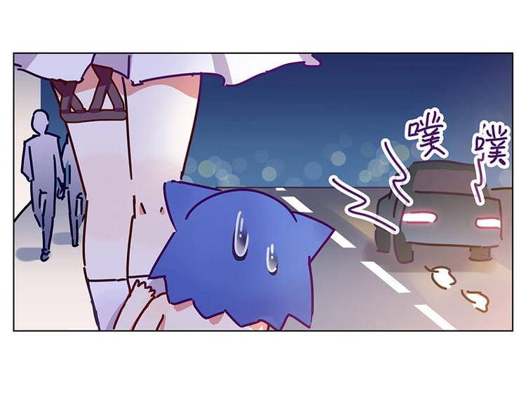 第16花19