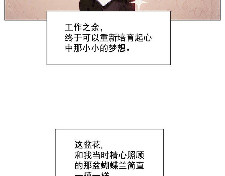 第34花12