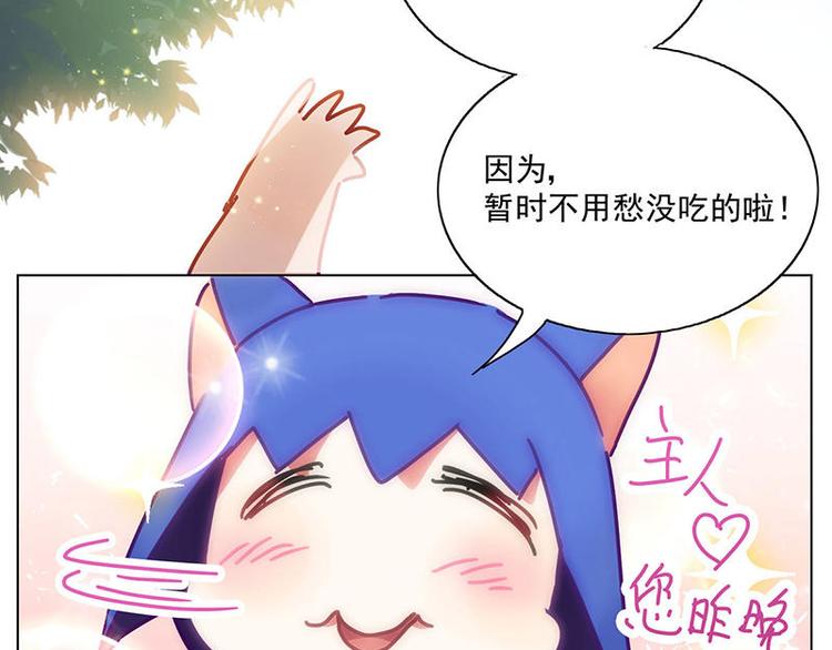第17花11