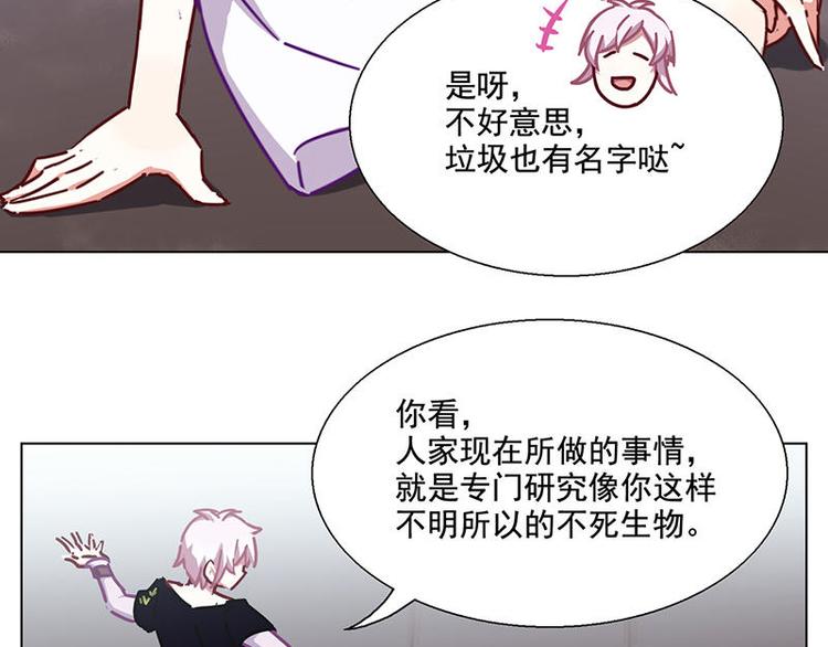 第41花26