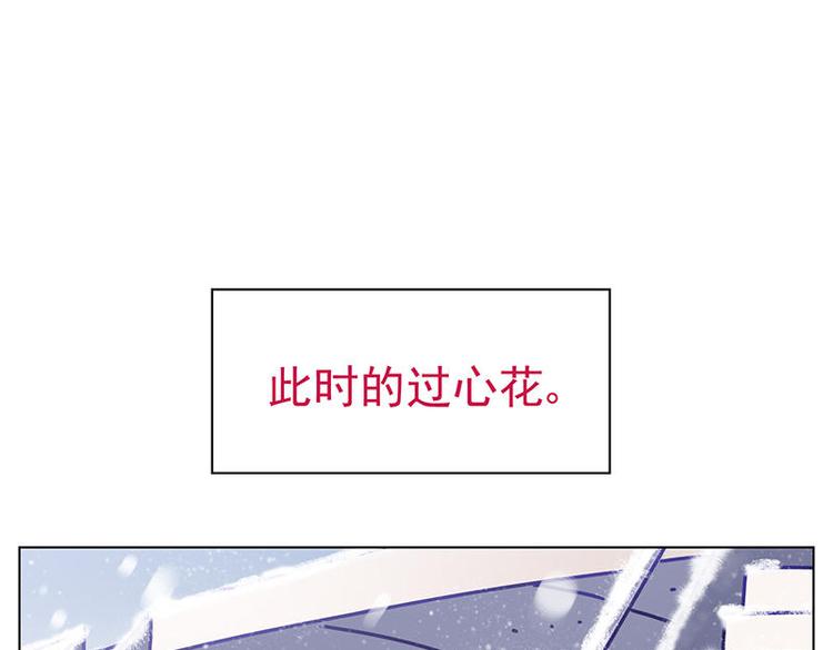第27花63
