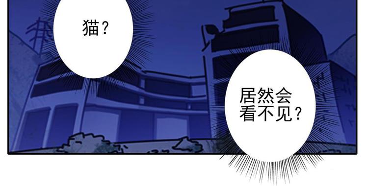 第61花 没人管花8