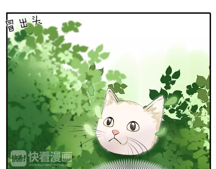 第1话 向流星许愿结果穿越异世界！35