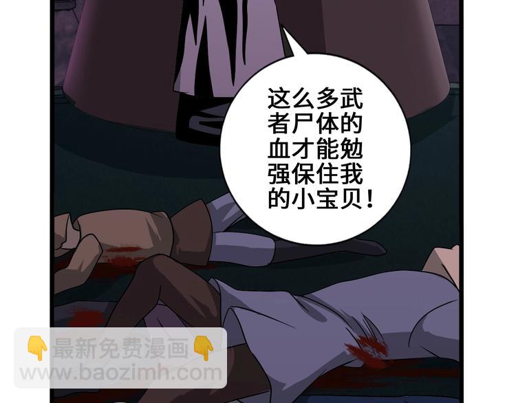 第33话 幕后之人112