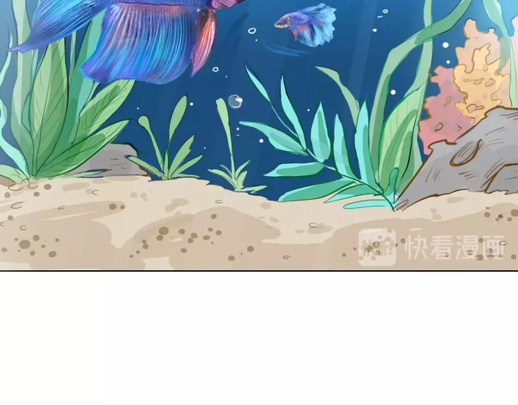 幽蓝白日梦 番外蓝于CP大公开62