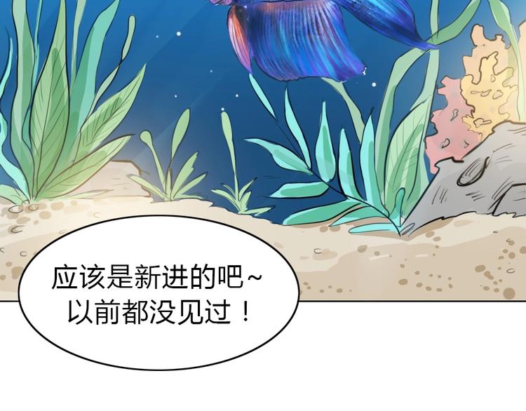 幽蓝白日梦 番外蓝于CP大公开49