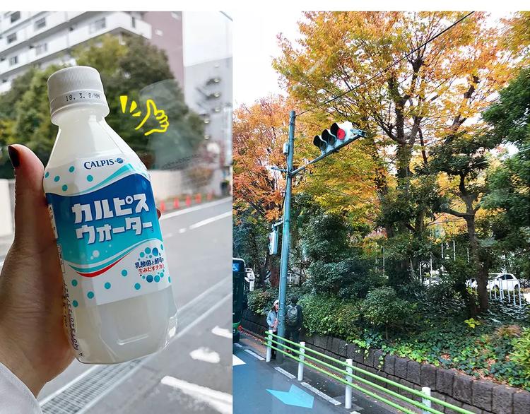 请假条之日本行11