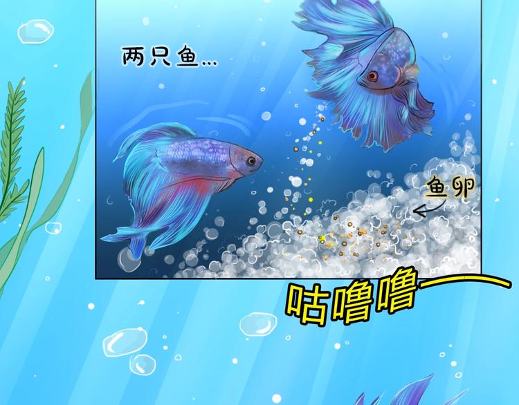 幽蓝白日梦 番外蓝于CP大公开60