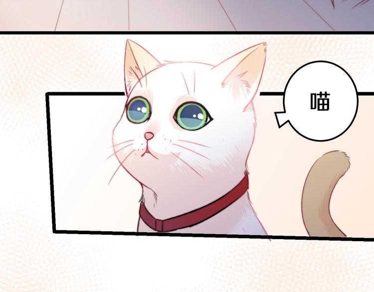 第19话 可爱的TA34