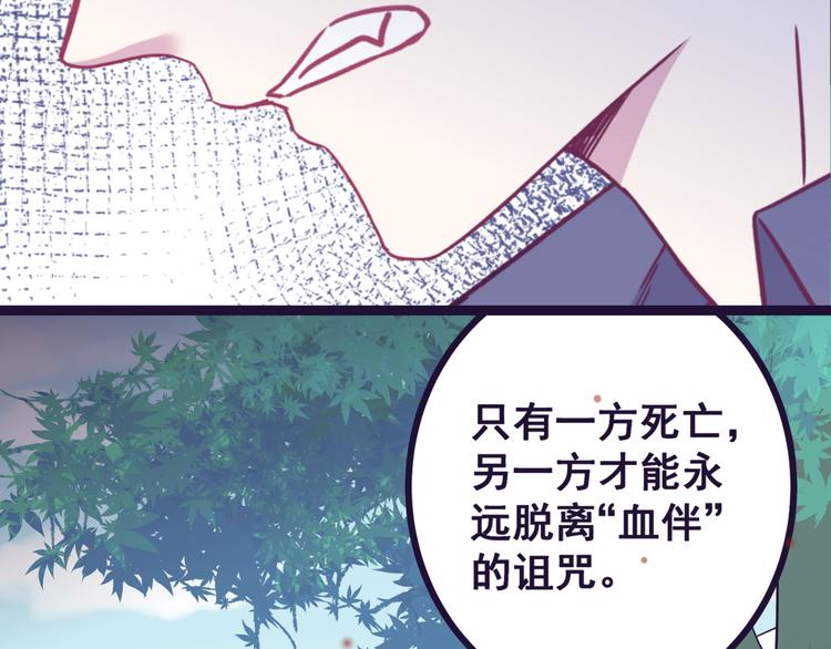 第5话 夜袭48