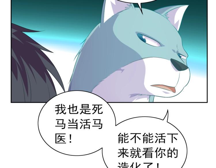 第39话 苏醒11