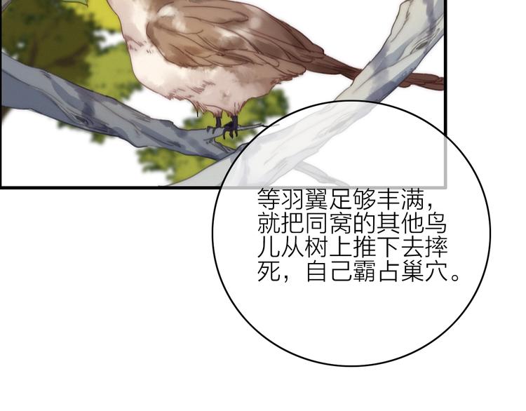 完结篇（下）  逃婚变私奔131