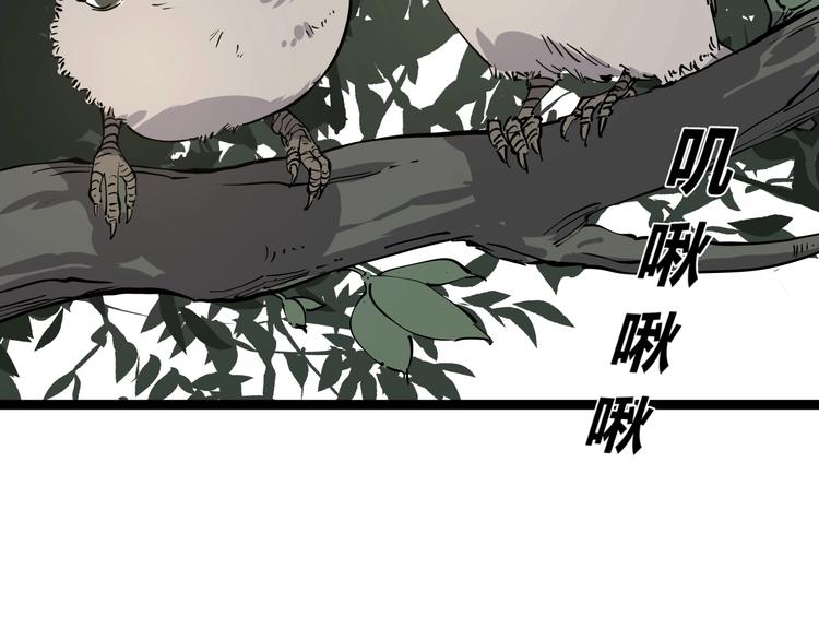 第1话 黑猫之疑63
