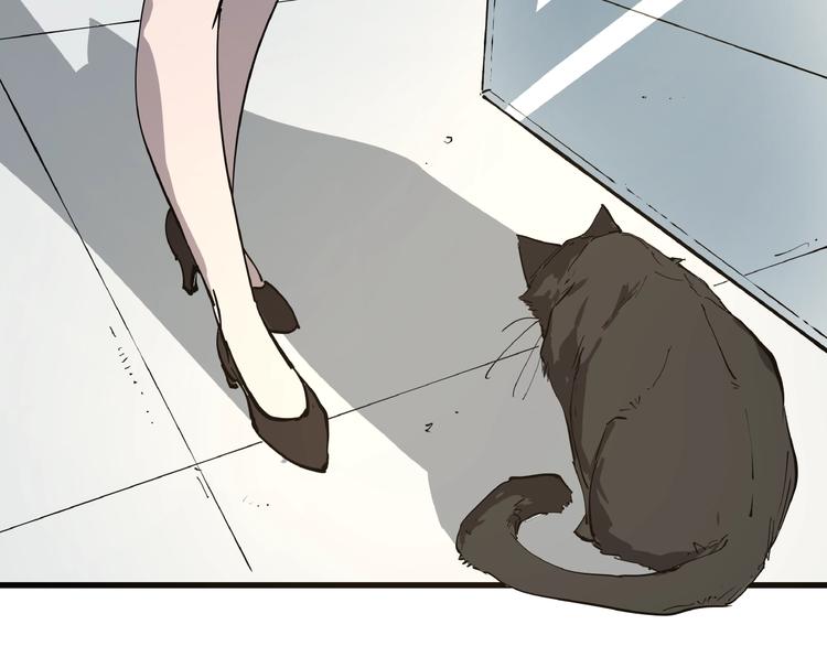 第1话 黑猫之疑16